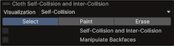 The Cloth Self Collision And Intercollision window